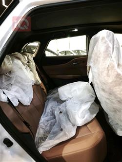 شانجان يوني - Z